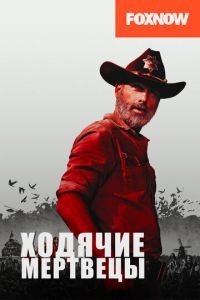 Ходячие мертвецы (2010) 